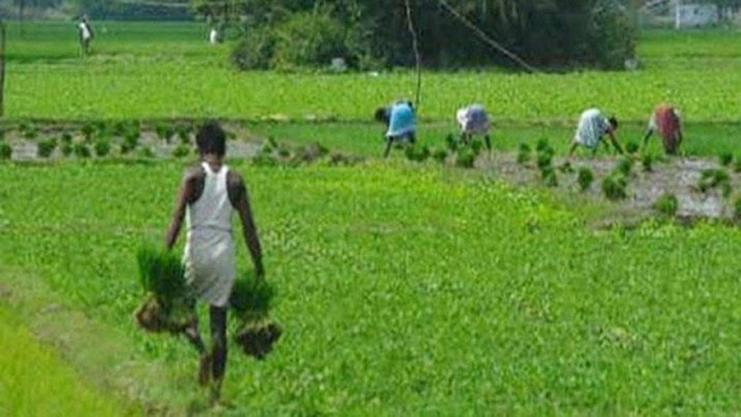 PM किसान योजना के 8.89 करोड़ लाभार्थियों के खाते में भेजी गई रकम