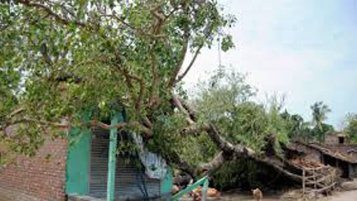प. बंगाल में चक्रवात ‘अम्फान’ के कारण मरने वालों की संख्या बढ़कर 85 हुई; बिजली, पानी की आपूर्ति को लेकर प्रदर्शन