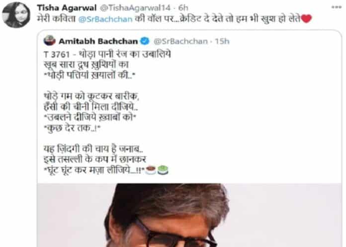 Tisha Aggarwal accused Amitabh Bachchan of stealing poetry